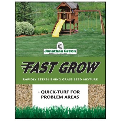 Quelle est la graine d'herbe à la croissance la plus rapide?