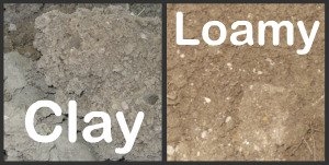 Чи глинистий ґрунт кислий?