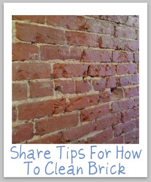 Jak usunąć pleśń z ceglanych ścian?