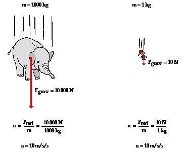 Comment calculer le poids d'une feuille de particules