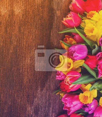 Czy tulipany i żonkile są odporne na mróz?