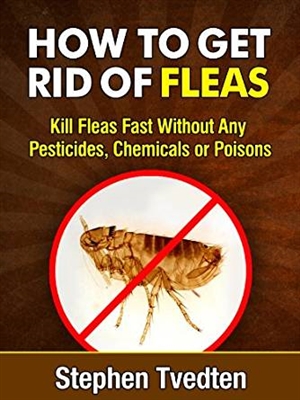 Como matar pulgas em um escritório