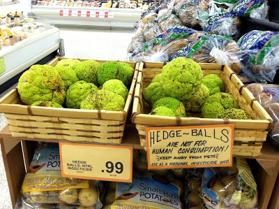 Jsou Hedge Balls jedovaté?