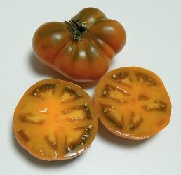 De beste tijd om tomaten te planten in Virginia