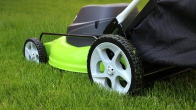 Jak opravit sekačku na trávu, která je mokrá