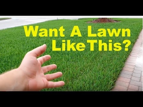 Como consertar um cortador de grama que ficou molhado