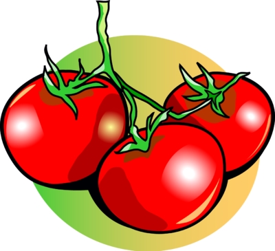 Как да отглеждаме домати във Флорида