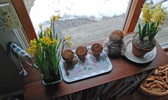 Cura invernale per le piante di lantana