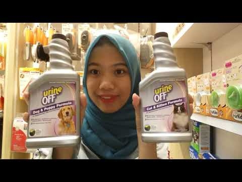Cara Mendapatkan Urine Anjing dari Sofa Suede