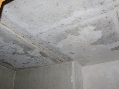 Как отремонтировать подвесной потолок