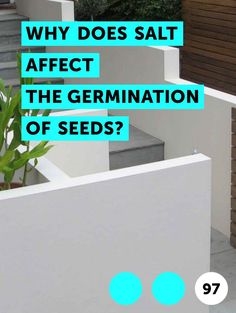 Почему соль влияет на прорастание семян?