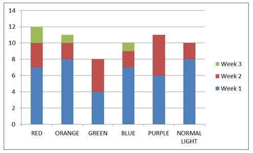 ब्लू लाइट में पौधे बेहतर क्यों बढ़ते हैं?
