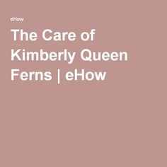 The Care of Kimberly Queen Ferns