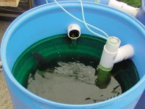 كيفية جعل خزان الصرف الصحي مع 55 غالون طبل