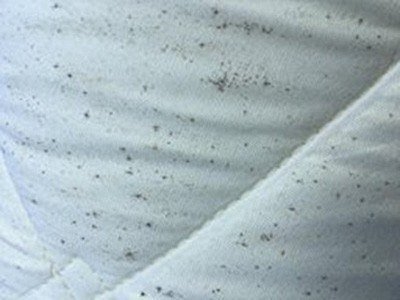 Comment nettoyer la moisissure sur un matelas pneumatique