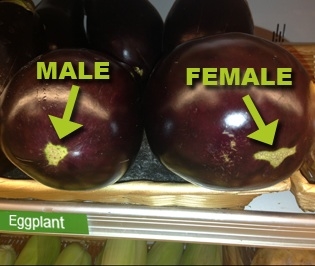 Differenza tra melanzane maschili e femminili