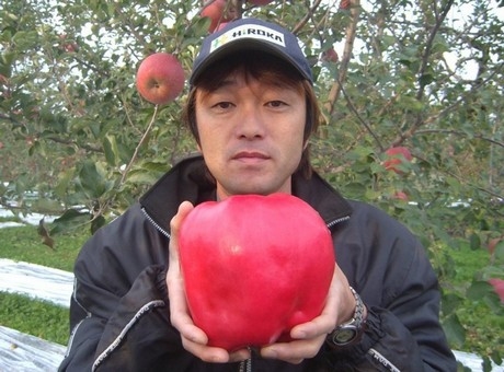 Кой е най-големият вид отглеждани ябълки?