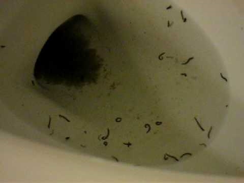 Чому мій душ водяний коричневий?