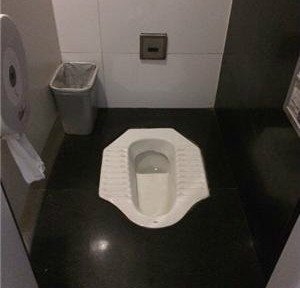 Gewelfde WC Vs. Pit toilet