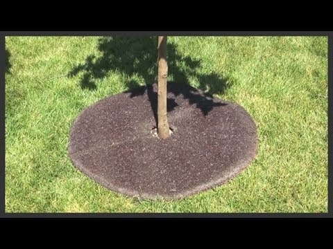 Cómo poner adoquines de borde alrededor de un árbol