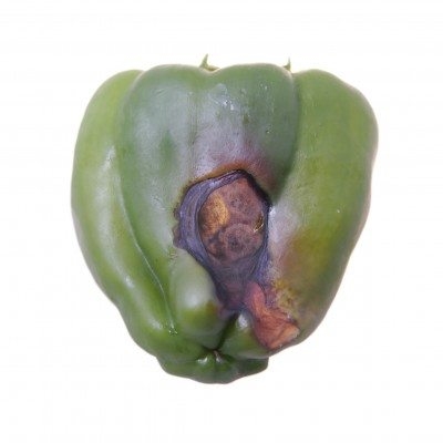 Hvorfor bliver mine grønne peber sort?