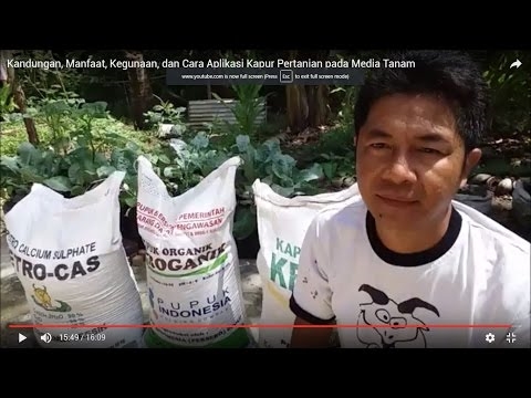 Cara Menggunakan Pupuk Kapur untuk Menghilangkan Jamur & Jamur