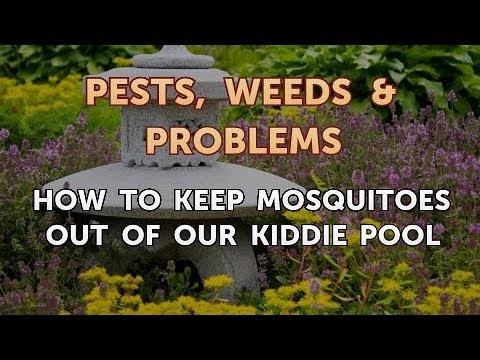Kuinka pitää hyttyset poissa lastenallastamme