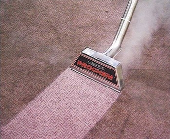 Uso di OxiClean per la pulizia a vapore di tappeti
