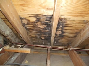 家の中から漏れやすい屋根を修理する方法