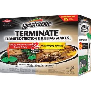 Cum să omori termitele cu produse casnice comune