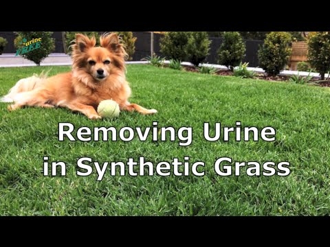 Як вивести запах із синтетичної трави