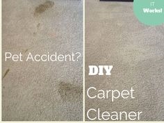 Ako môžem vyčistiť koberec, ktorý vonia ako moč moču?