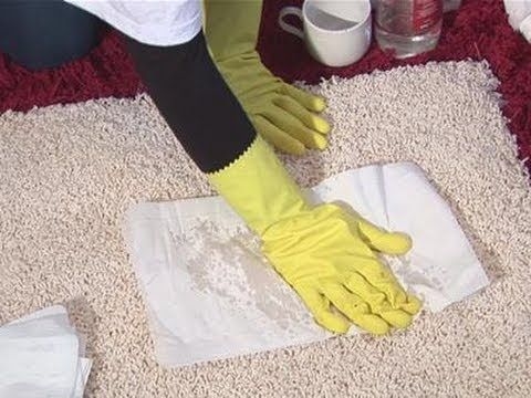Як почистити килим, який пахне сечею домашніх тварин?