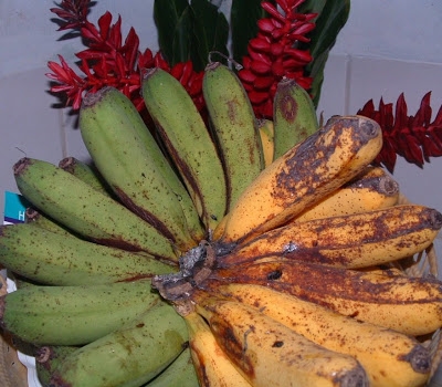 Kako odstraniti madeže na bananovem drevesu z oblačil