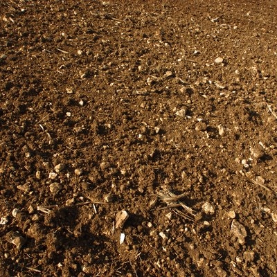 Средний уровень перколяции для различных типов почв