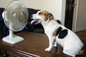 Dlaczego mój dom jest gorący, jeśli klimatyzator wieje chłodnym powietrzem?