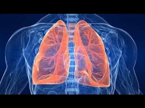 Ako odstrániť zápach smrti a úpadku