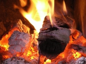 Was passiert, wenn Sie schimmeliges Holz verbrennen?