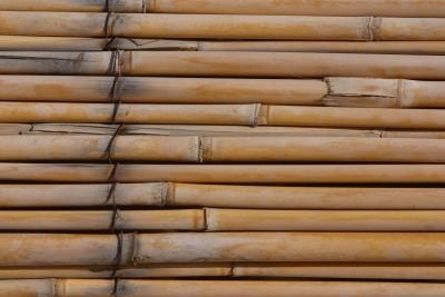 Kuidas vabaneda hallist õnnelikust bambusest