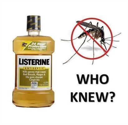 Repellente per zanzare fatto in casa con Listerine