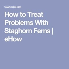 Sådan behandles problemer med Staghorn bregner