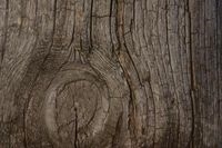 Bagaimana Cuaca Artifisial Kayu untuk Barn Wood Picture Frames