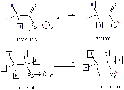 酢酸ナトリウムを識別する方法