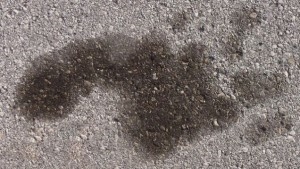 Co zrobić z asfaltem uszkodzonym przez olej napędowy