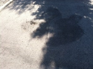 Kaj storiti z asfaltom, ki ga poškoduje dizelsko olje
