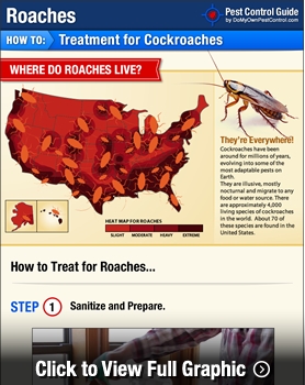 Gecede Roaches Nasıl Öldürülür?