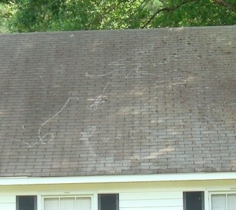 Kuinka puhdistaa muotti katolta