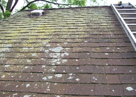 Hvordan rengjøre mold av et tak
