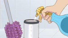 Bulaşık Sabunula Bir Tuvalet Nasıl Temizlenir