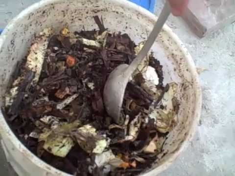 Kako kompostirati u kanti od 5 galona